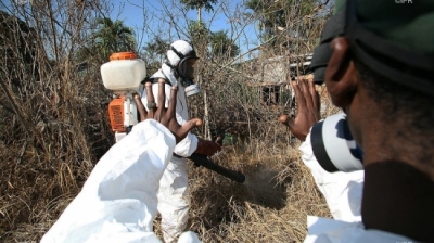 Dengue 22 cas confirmés en une semaine, la circulation reste ... Image 1